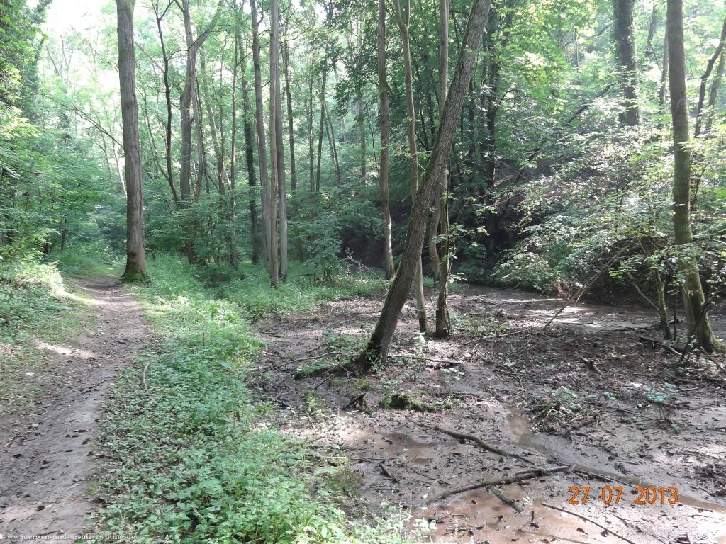 Philosophische Bildwanderung Traumpfad Koberner Burgpfad