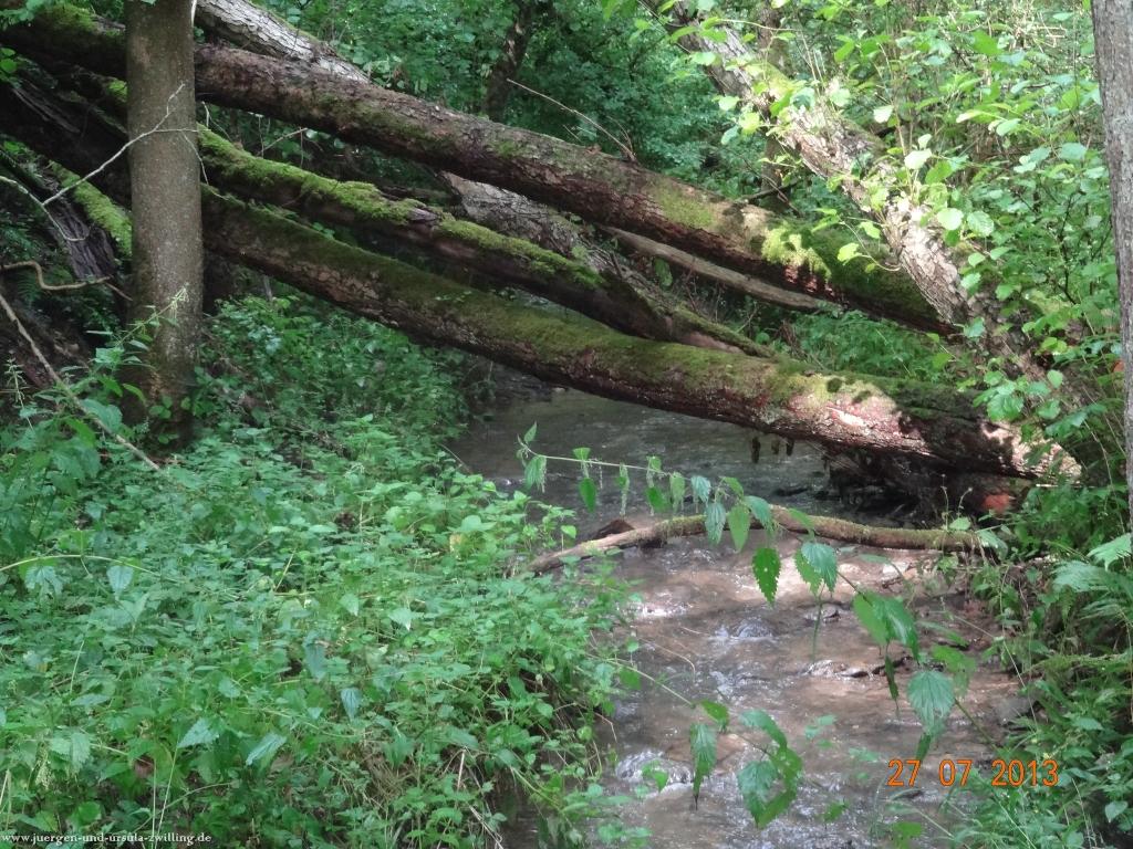 Philosophische Bildwanderung Traumpfad Koberner Burgpfad