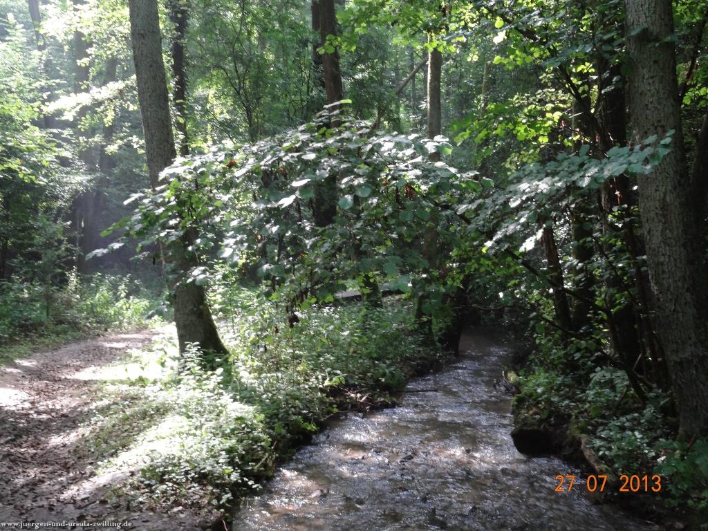 Philosophische Bildwanderung Traumpfad Koberner Burgpfad
