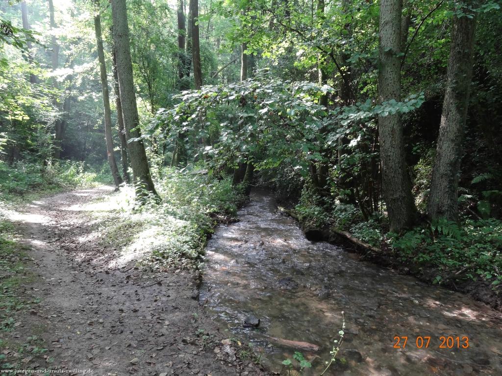 Philosophische Bildwanderung Traumpfad Koberner Burgpfad