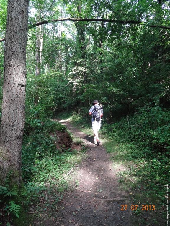Philosophische Bildwanderung Traumpfad Koberner Burgpfad