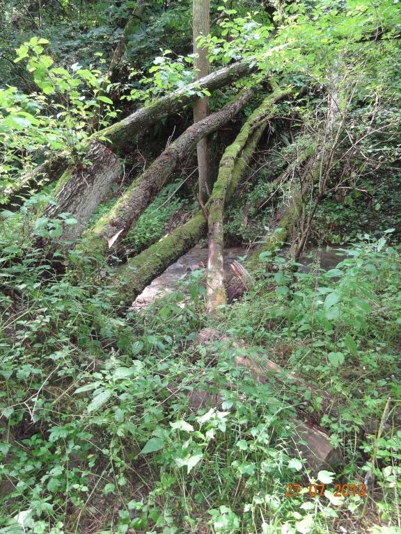 Philosophische Bildwanderung Traumpfad Koberner Burgpfad