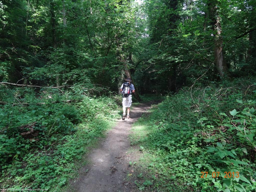 Philosophische Bildwanderung Traumpfad Koberner Burgpfad