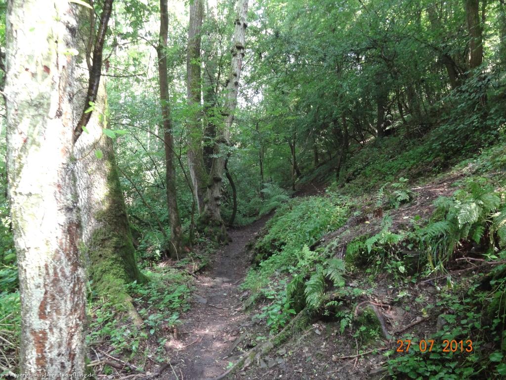 Philosophische Bildwanderung Traumpfad Koberner Burgpfad