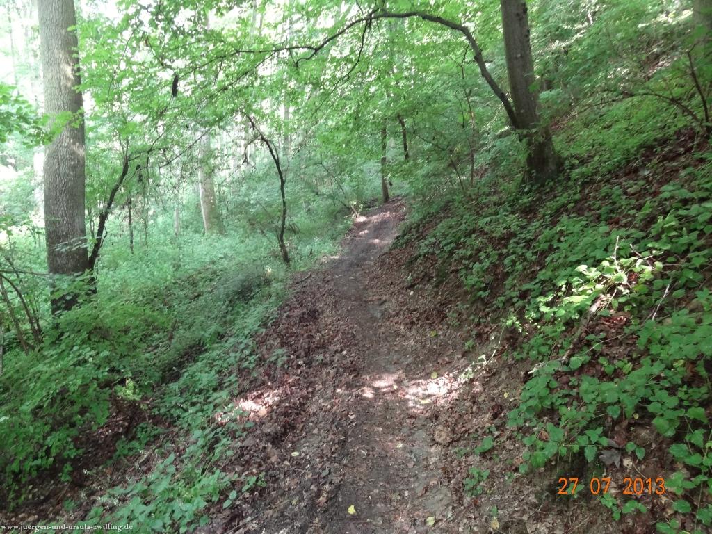 Philosophische Bildwanderung Traumpfad Koberner Burgpfad