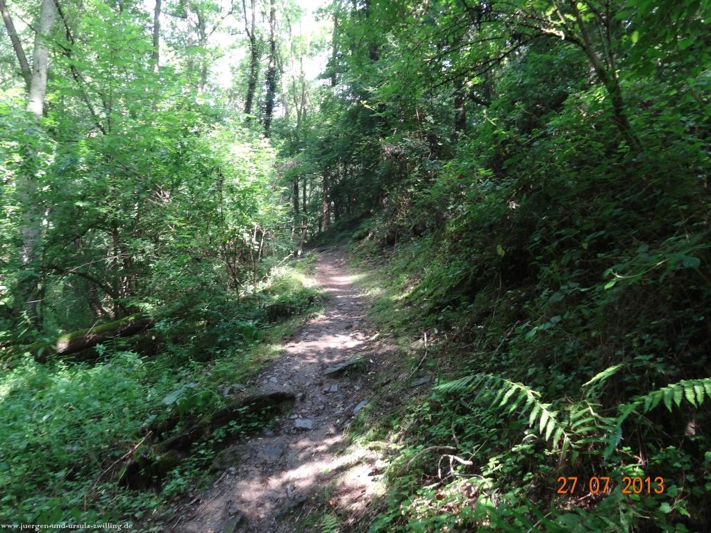 Philosophische Bildwanderung Traumpfad Koberner Burgpfad