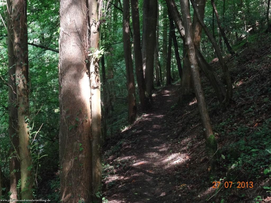 Philosophische Bildwanderung Traumpfad Koberner Burgpfad