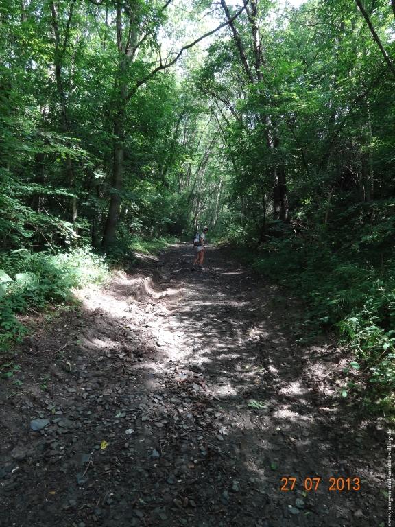 Philosophische Bildwanderung Traumpfad Koberner Burgpfad