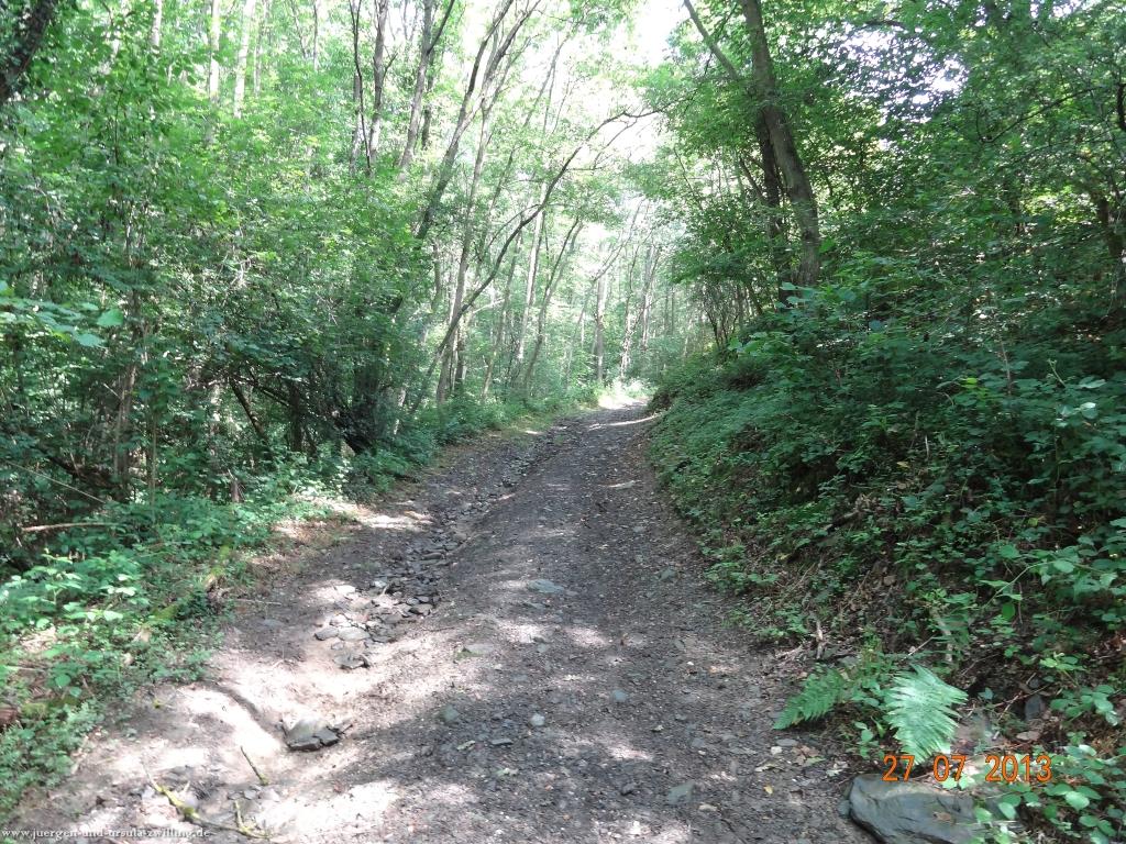 Philosophische Bildwanderung Traumpfad Koberner Burgpfad