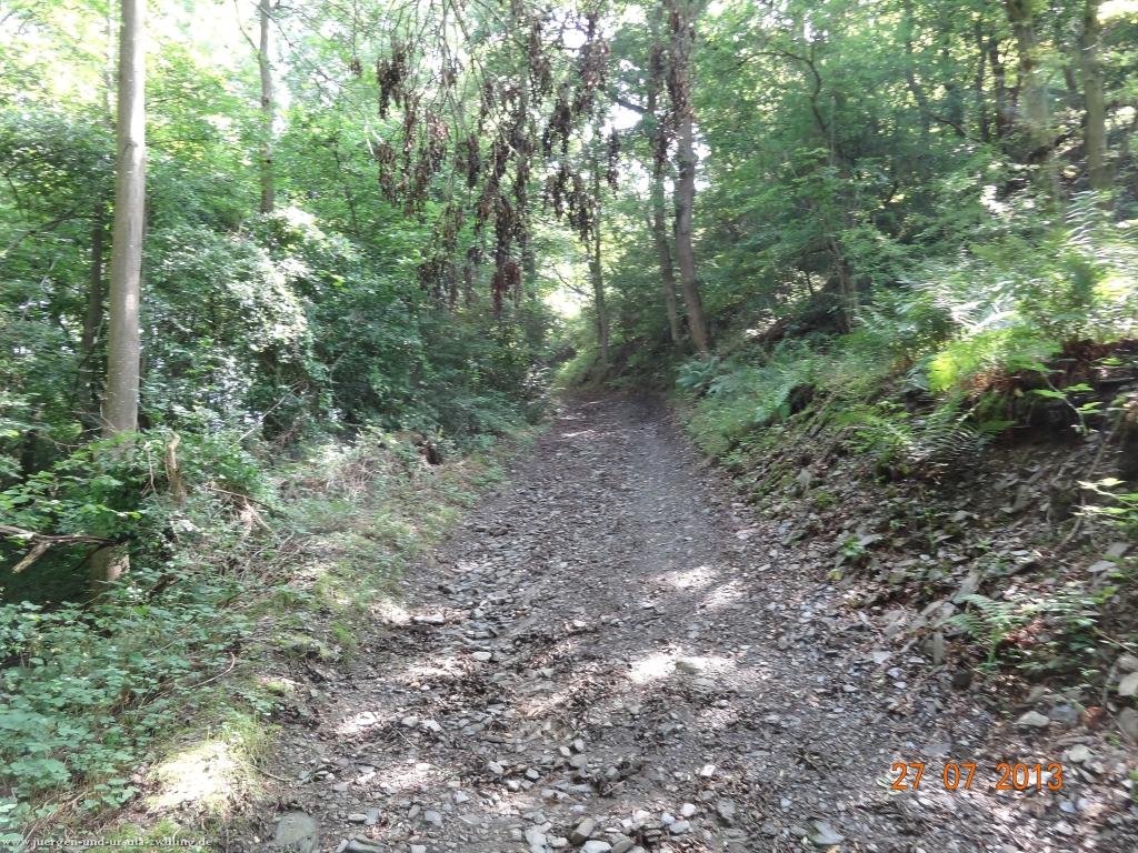 Philosophische Bildwanderung Traumpfad Koberner Burgpfad