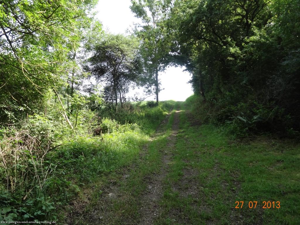 Philosophische Bildwanderung Traumpfad Koberner Burgpfad