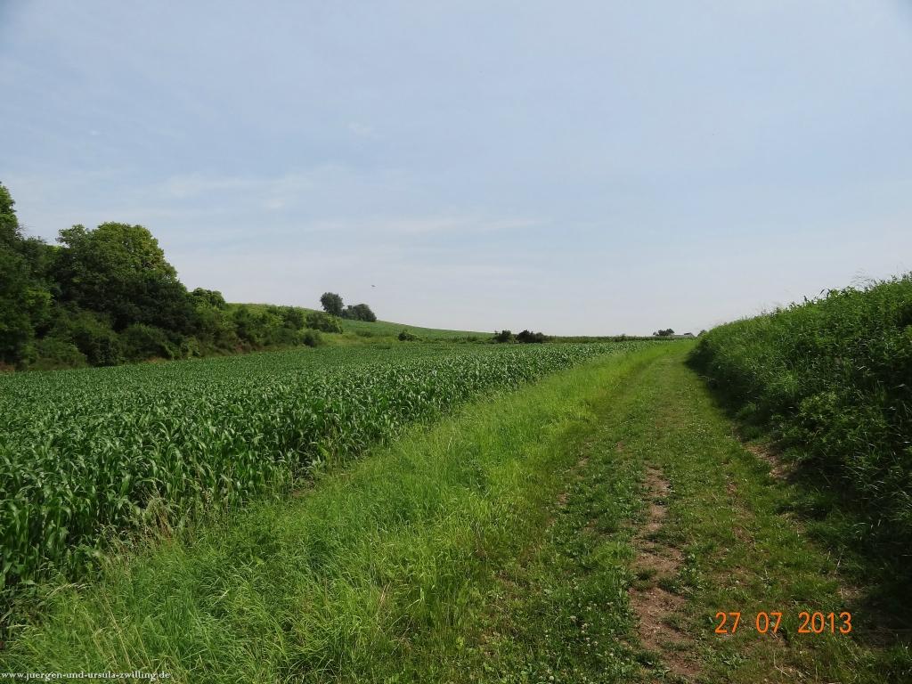 Philosophische Bildwanderung Traumpfad Koberner Burgpfad