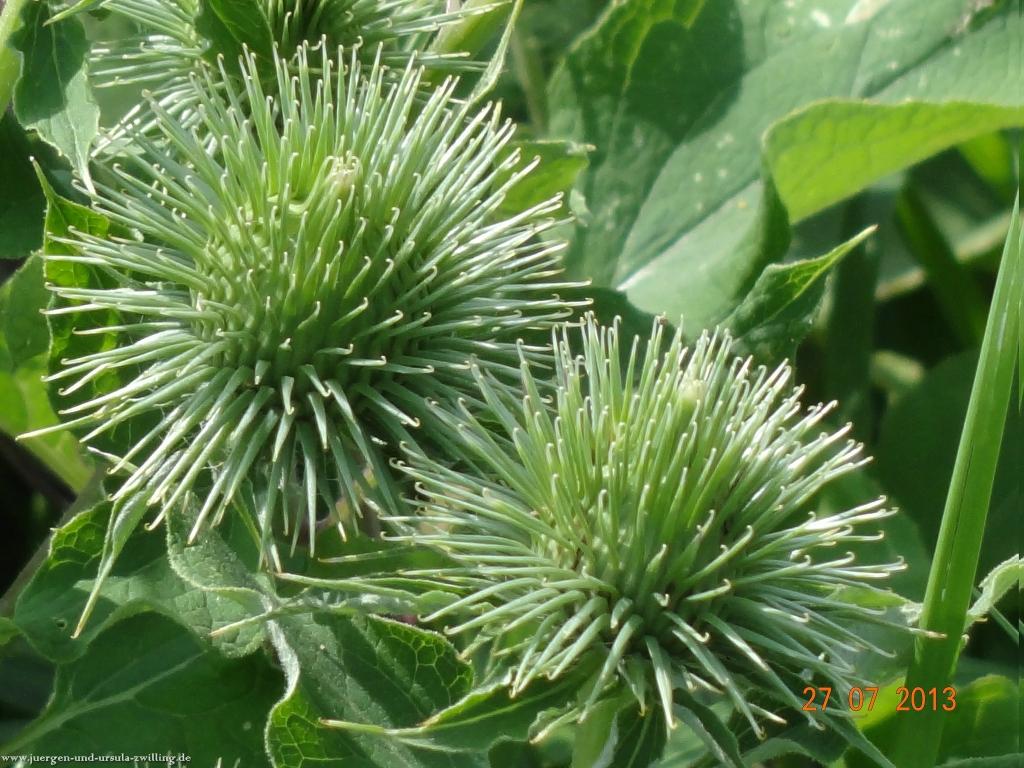 Philosophische Bildwanderung Traumpfad Koberner Burgpfad 