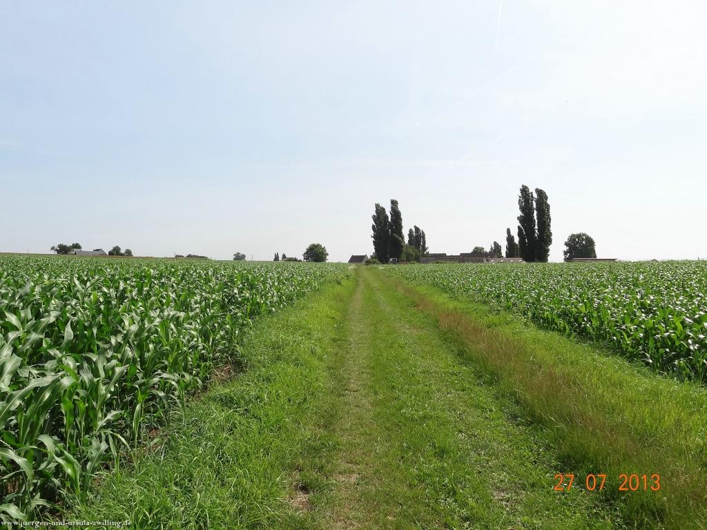 Philosophische Bildwanderung Traumpfad Koberner Burgpfad