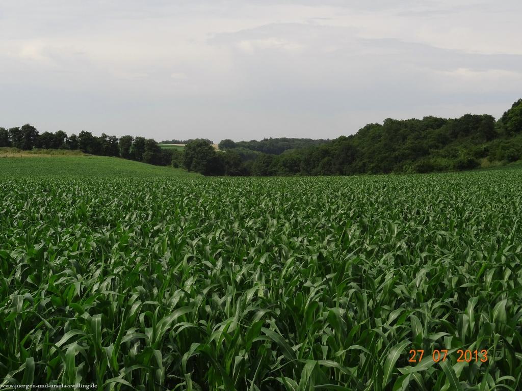 Philosophische Bildwanderung Traumpfad Koberner Burgpfad