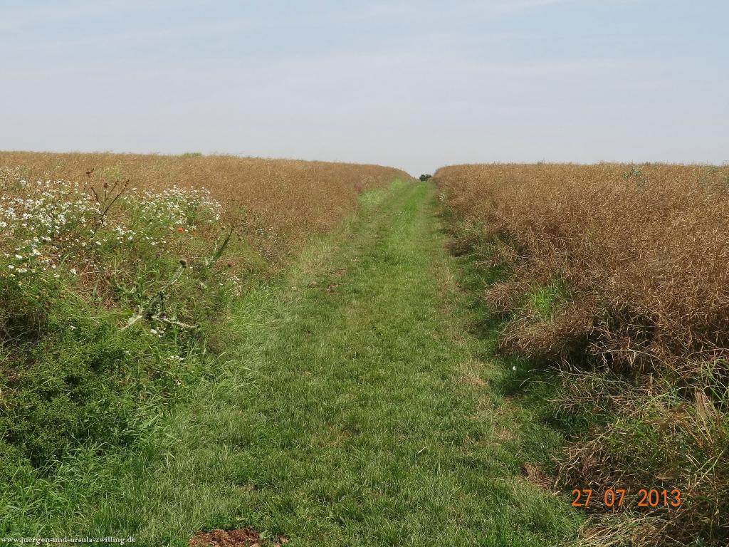 Philosophische Bildwanderung Traumpfad Koberner Burgpfad