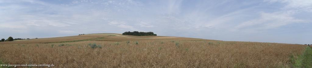 Philosophische Bildwanderung Traumpfad Koberner Burgpfad
