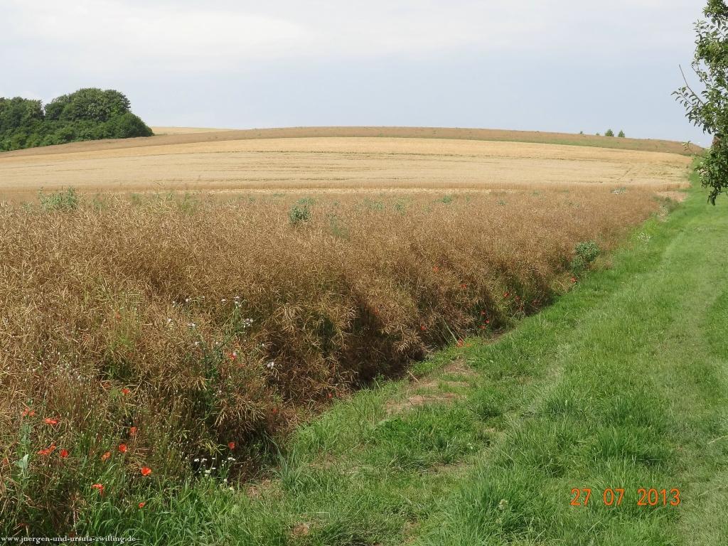 Philosophische Bildwanderung Traumpfad Koberner Burgpfad