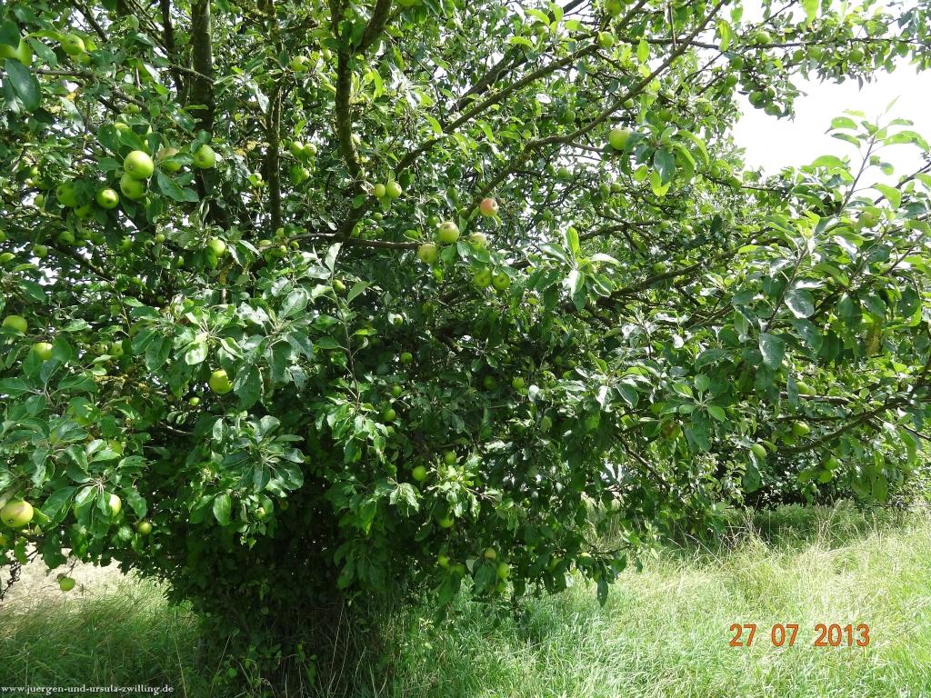 Philosophische Bildwanderung Traumpfad Koberner Burgpfad