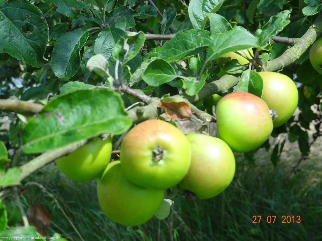 Philosophische Bildwanderung Traumpfad Koberner Burgpfad