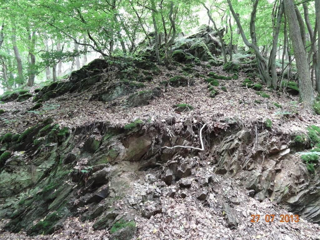 Philosophische Bildwanderung Traumpfad Koberner Burgpfad 