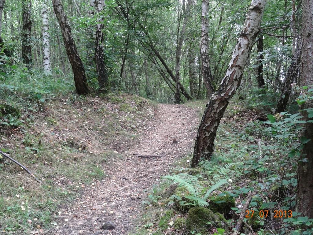 Philosophische Bildwanderung Traumpfad Koberner Burgpfad