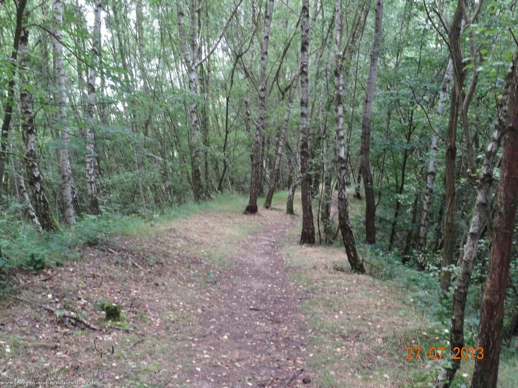 Philosophische Bildwanderung Traumpfad Koberner Burgpfad