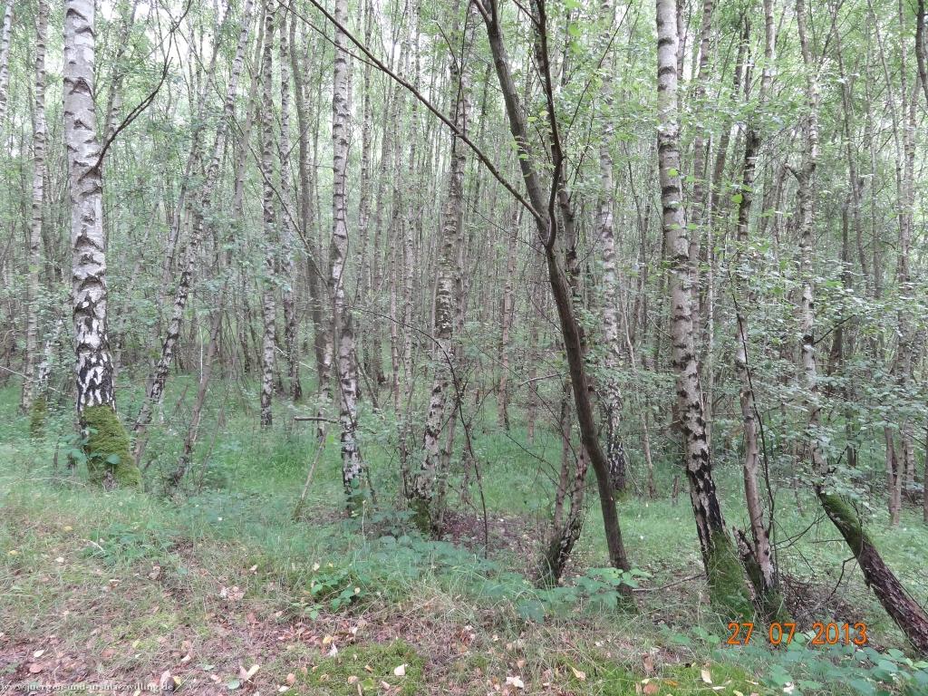 Philosophische Bildwanderung Traumpfad Koberner Burgpfad