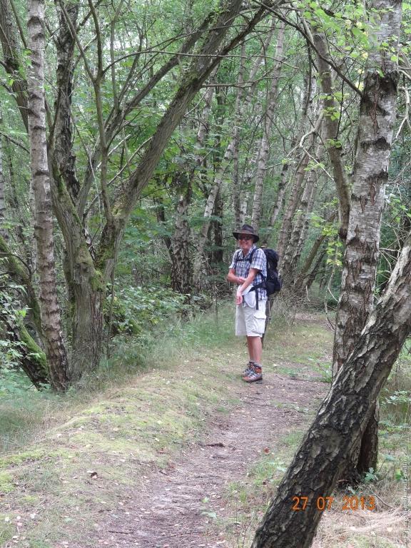 Philosophische Bildwanderung Traumpfad Koberner Burgpfad