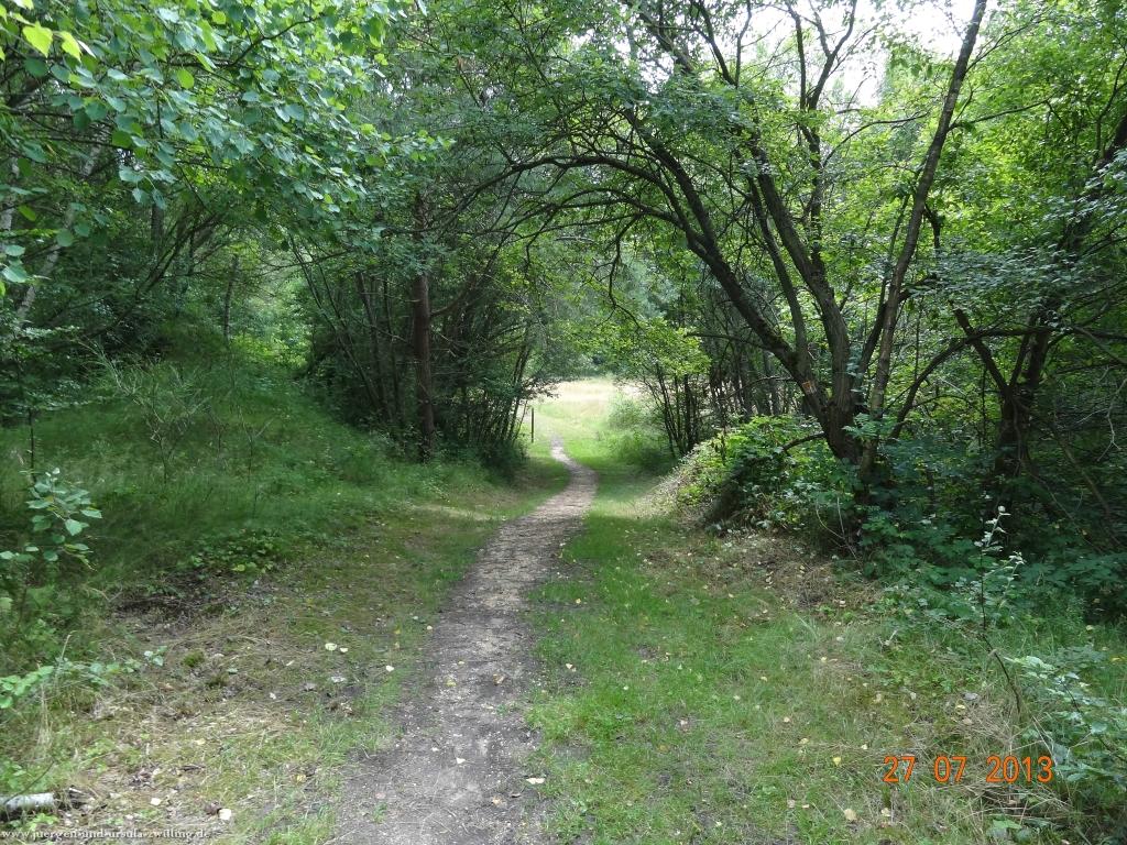 Philosophische Bildwanderung Traumpfad Koberner Burgpfad