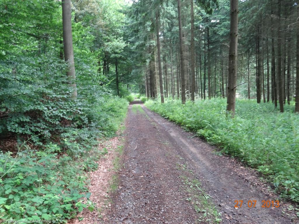 Philosophische Bildwanderung Traumpfad Koberner Burgpfad