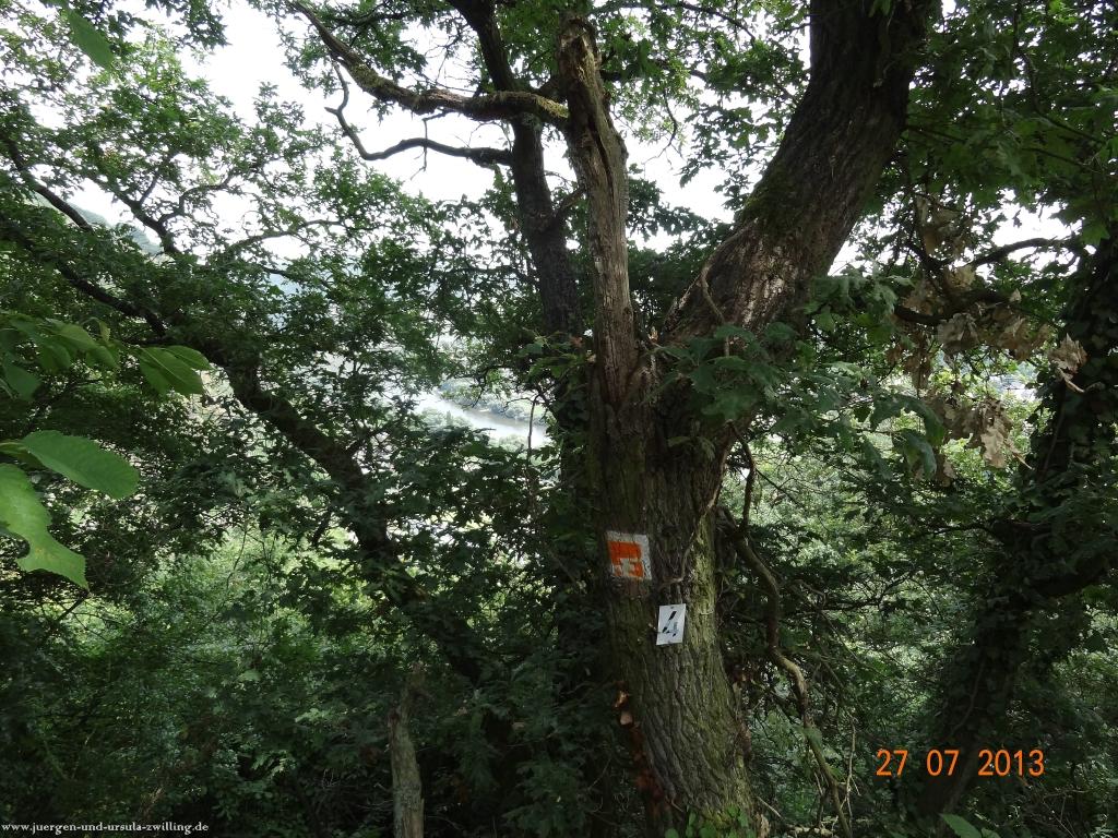 Philosophische Bildwanderung Traumpfad Koberner Burgpfad