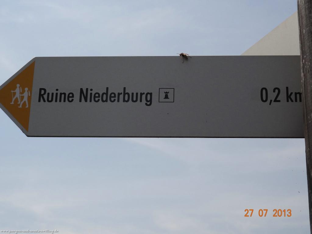 Philosophische Bildwanderung Traumpfad Koberner Burgpfad