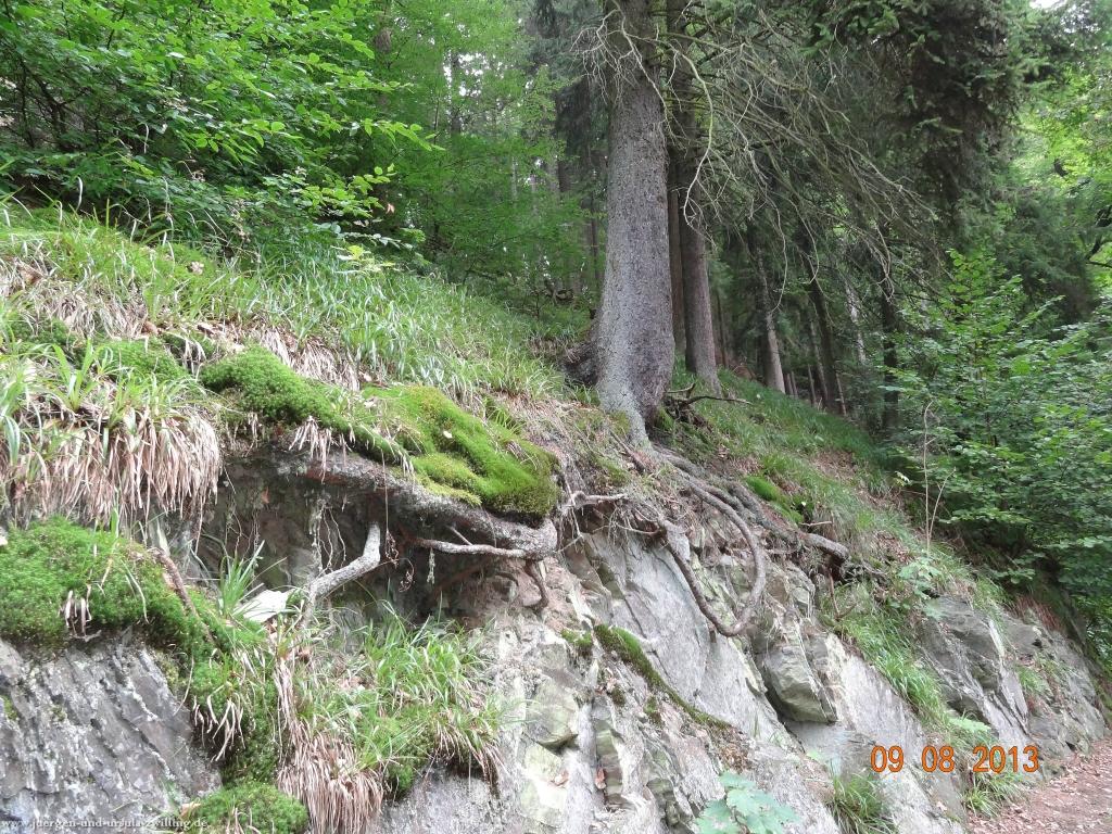 Philosophische Bildwanderung Waeller-Tour-Brexbachschluchtweg