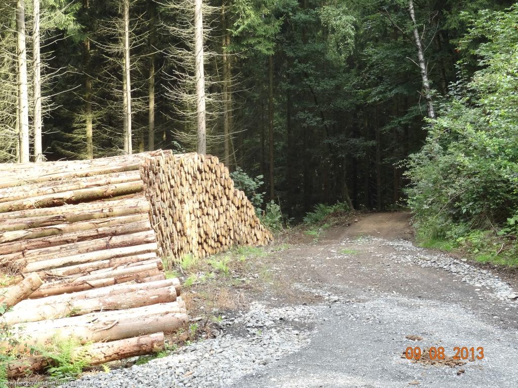 Philosophische Bildwanderung Waeller-Tour-Brexbachschluchtweg