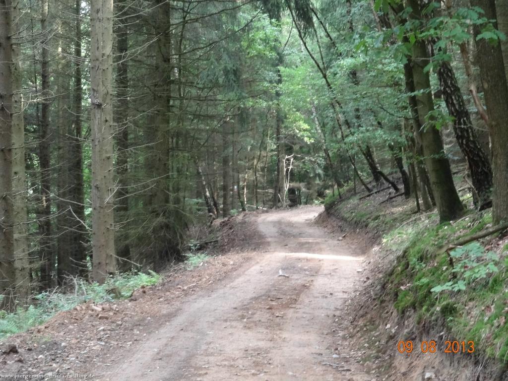 Philosophische Bildwanderung Waeller-Tour-Brexbachschluchtweg