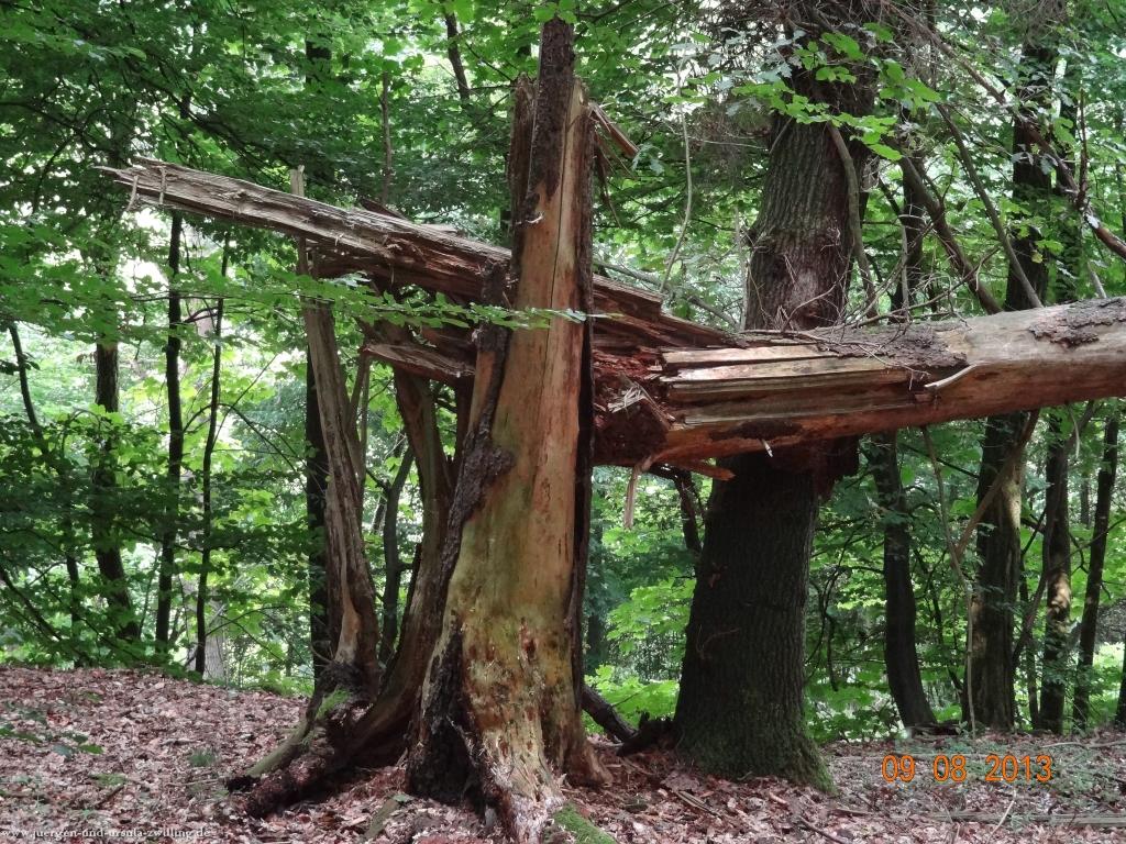 Philosophische Bildwanderung Waeller-Tour-Brexbachschluchtweg