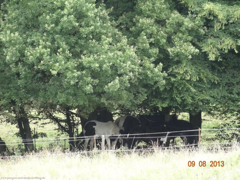 Philosophische Bildwanderung Waeller-Tour-Brexbachschluchtweg