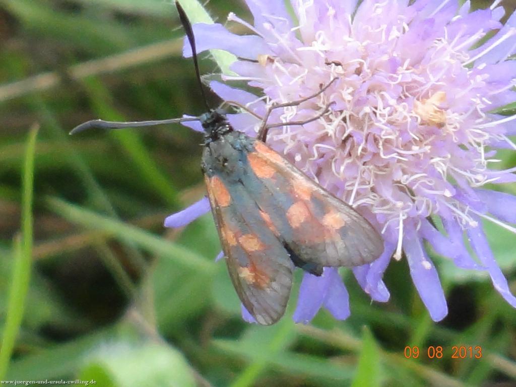 Philosophische Bildwanderung Waeller-Tour-Brexbachschluchtweg