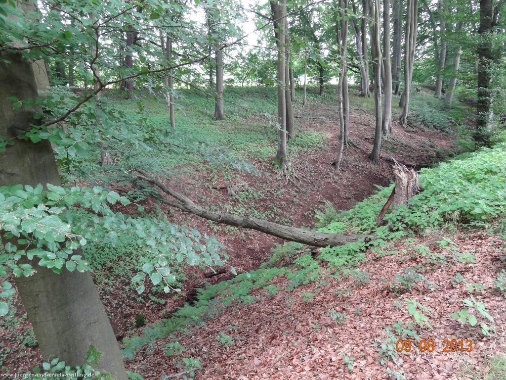 Philosophische Bildwanderung Waeller-Tour-Brexbachschluchtweg