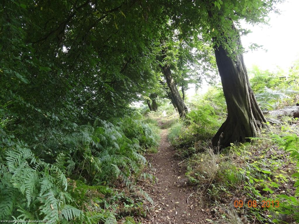 Philosophische Bildwanderung Waeller-Tour-Brexbachschluchtweg