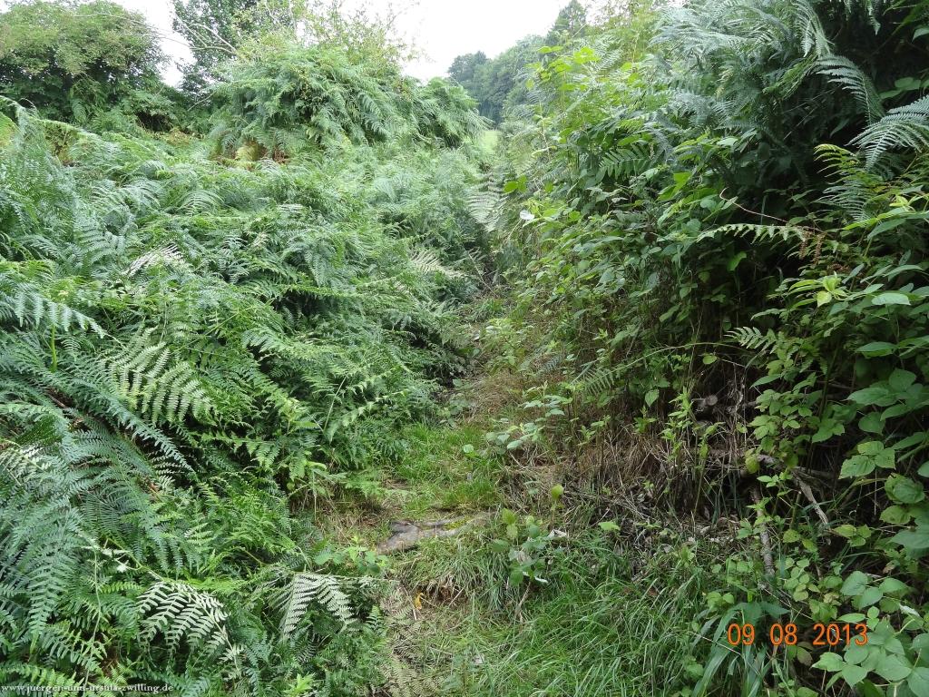 Philosophische Bildwanderung Waeller-Tour-Brexbachschluchtweg