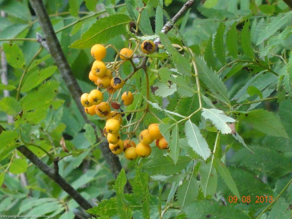 Philosophische Bildwanderung Waeller-Tour-Brexbachschluchtweg