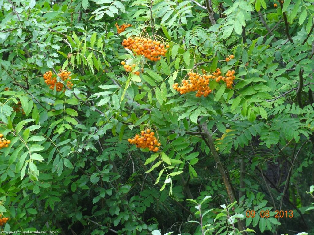 Philosophische Bildwanderung Waeller-Tour-Brexbachschluchtweg