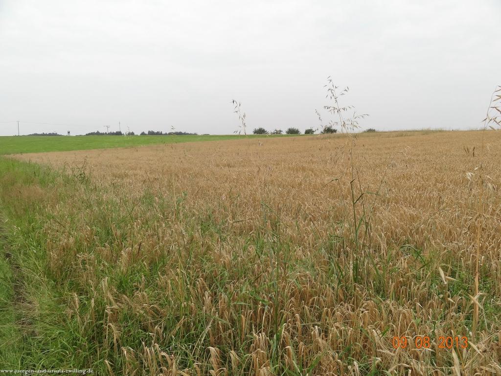 Philosophische Bildwanderung Waeller-Tour-Brexbachschluchtweg