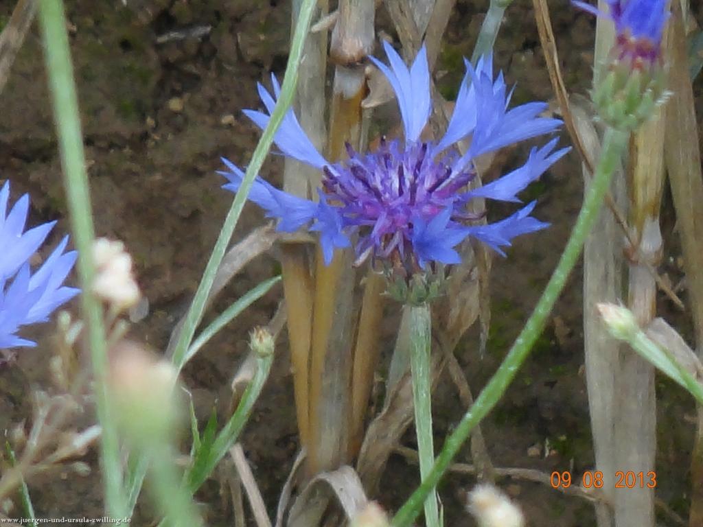 Philosophische Bildwanderung Waeller-Tour-Brexbachschluchtweg