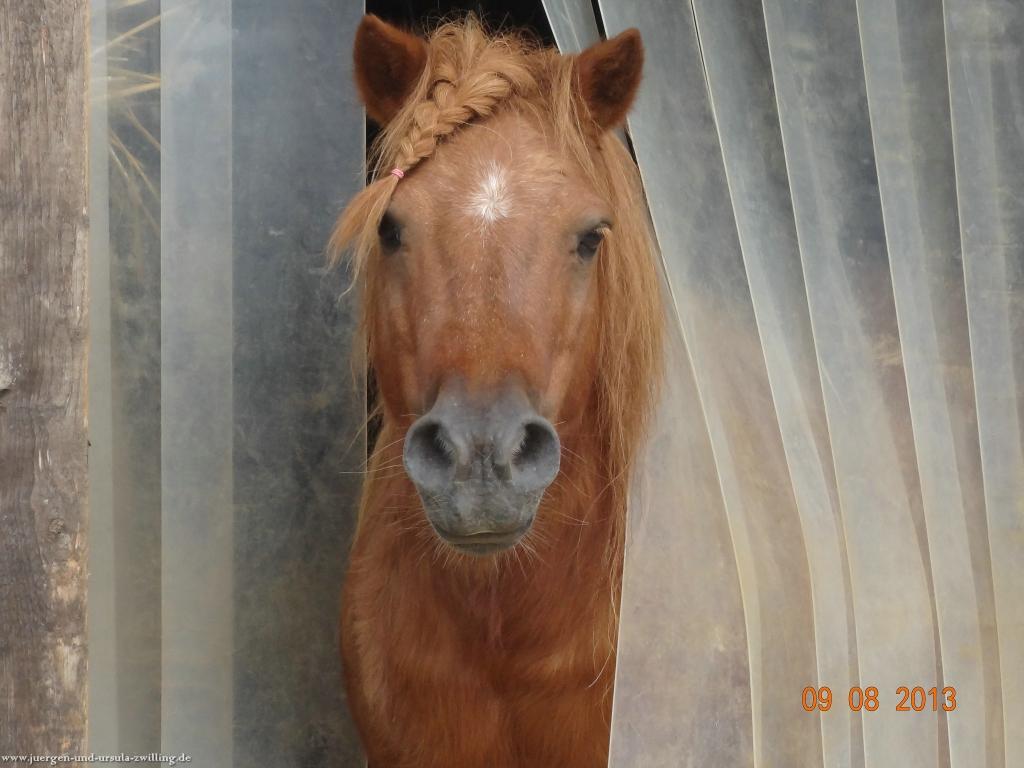 Philosophische Bildwanderung Waeller-Tour-Brexbachschluchtweg