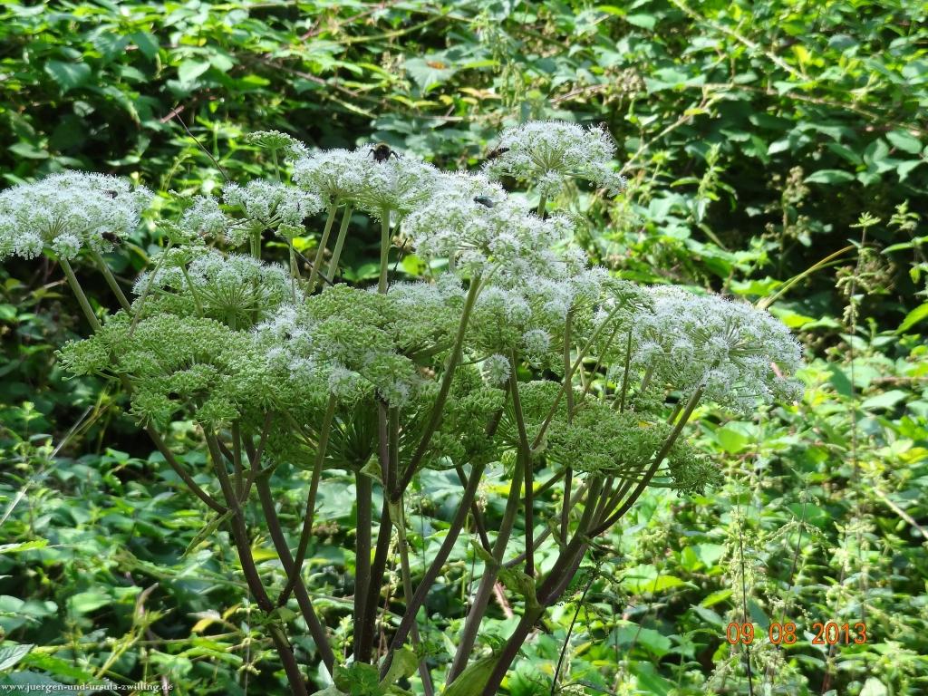 Philosophische Bildwanderung Waeller-Tour-Brexbachschluchtweg