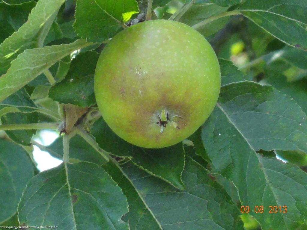 Philosophische Bildwanderung Waeller-Tour-Brexbachschluchtweg