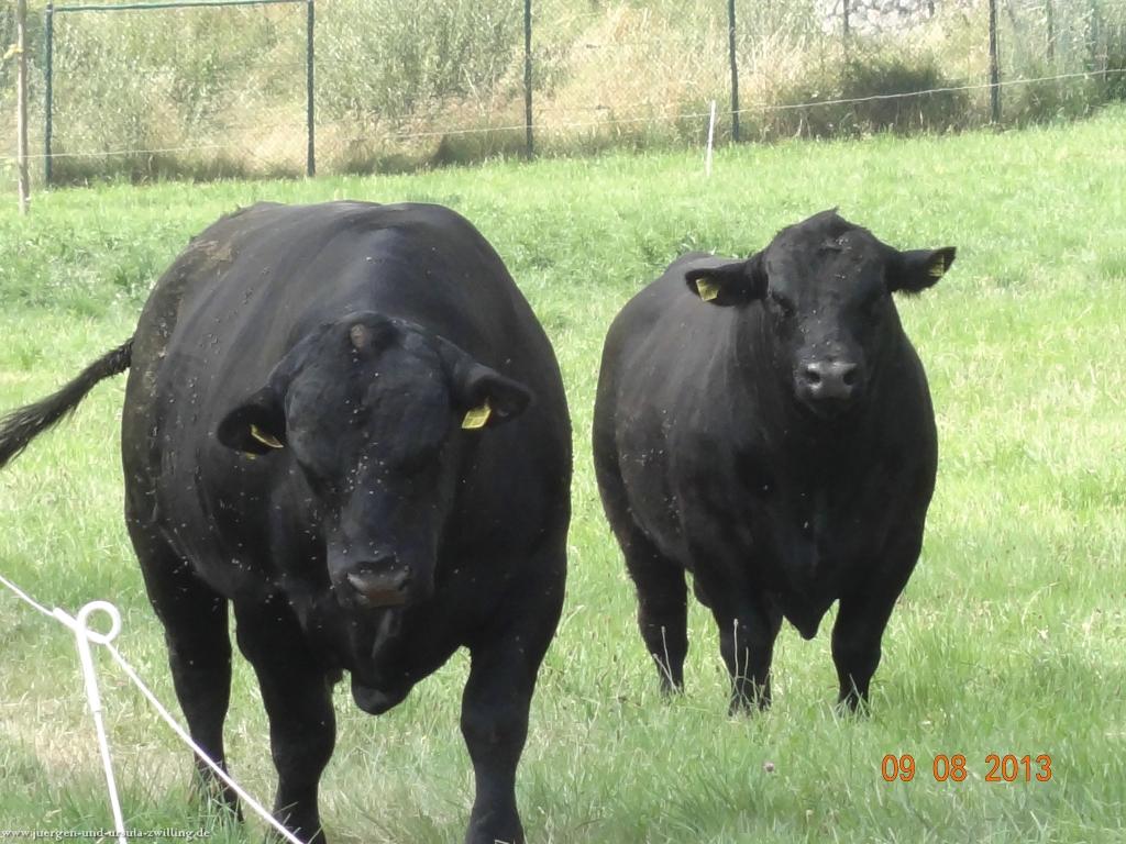 Philosophische Bildwanderung Waeller-Tour-Brexbachschluchtweg